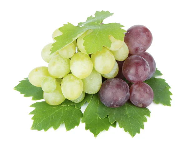 Fehér és vörös szőlő — Stock Fotó