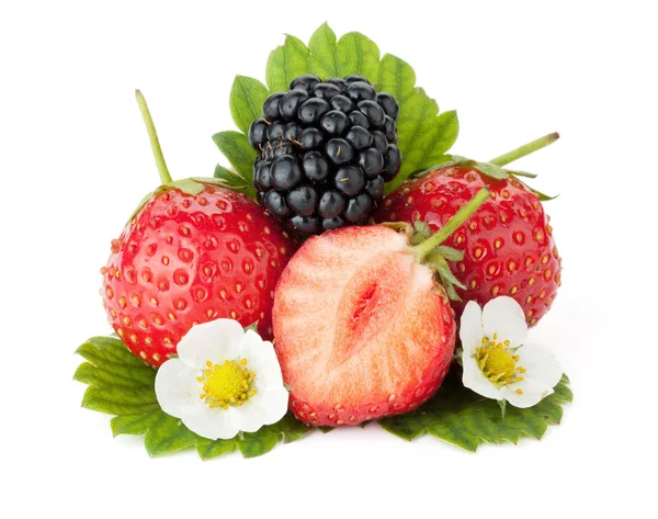 草莓和黑莓水果 — 图库照片