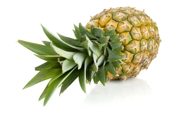 Sappige verse ananas — Stockfoto