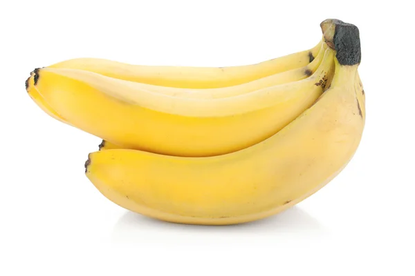 Banán gyümölcsök — Stock Fotó
