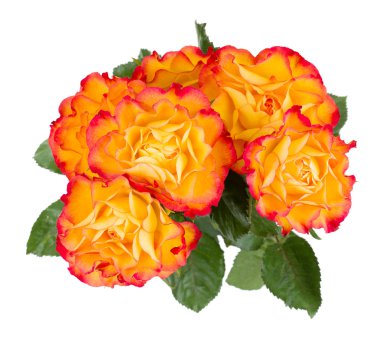 Orange rose bouquet clipart