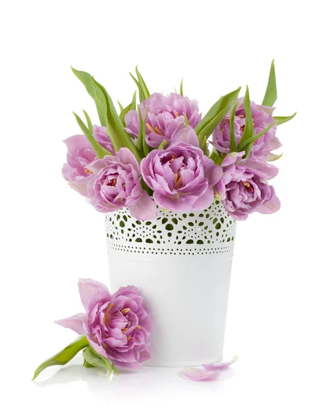 Розовые тюльпаны в металлическом цветнике — стоковое фото