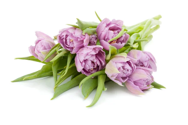 Buket tulip pink — Stok Foto