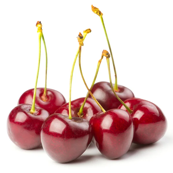 Red ripe cherries over white background — Stock Photo, Image