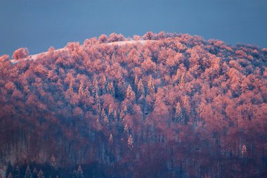 Sunrise Karpat Dağları, Ukrayna