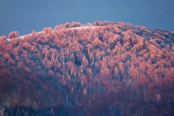 카 르 파 티아 산맥, 우크라이나에서 일출 — 스톡 사진