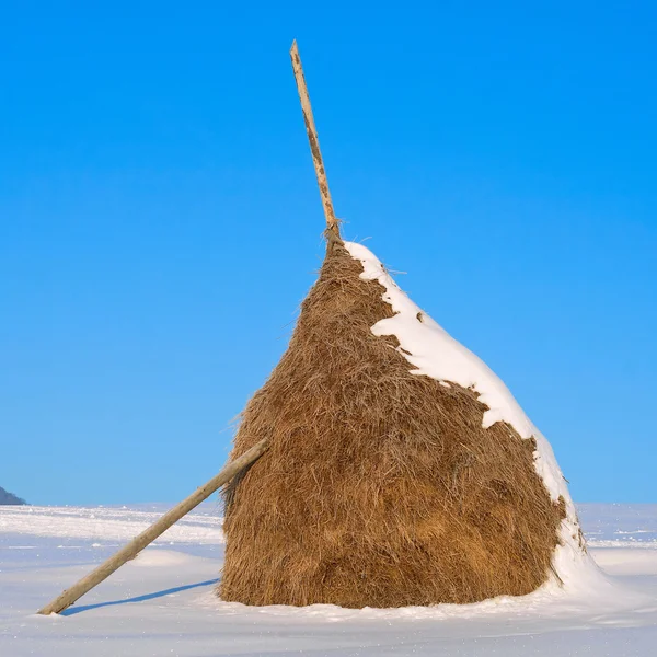 Winter haystack in Carphatian mountains, Ukraine — Stock Photo, Image