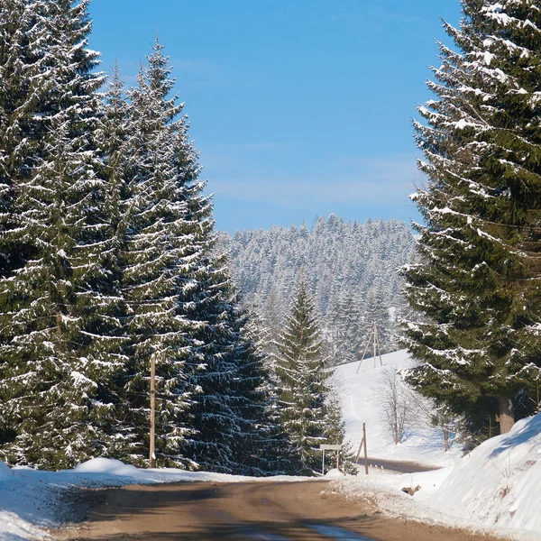 Besneeuwde winter weg in de bergen — Stockfoto
