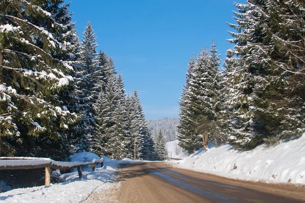 Zware sneeuw op de weg — Stockfoto