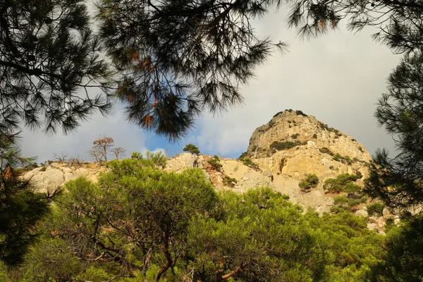Montagna rocciosa vista attraverso i pini (Crimea, Ucraina ) — Foto Stock