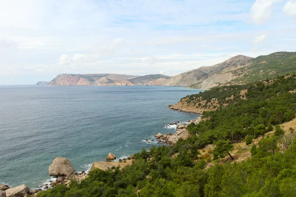 Línea costera con pinos (reserva "Inzhir", Crimea, Ucrania ) — Foto de Stock