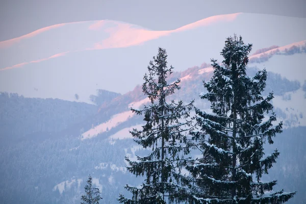 カルパティア山脈、ウクライナの美しい日の出 — ストック写真