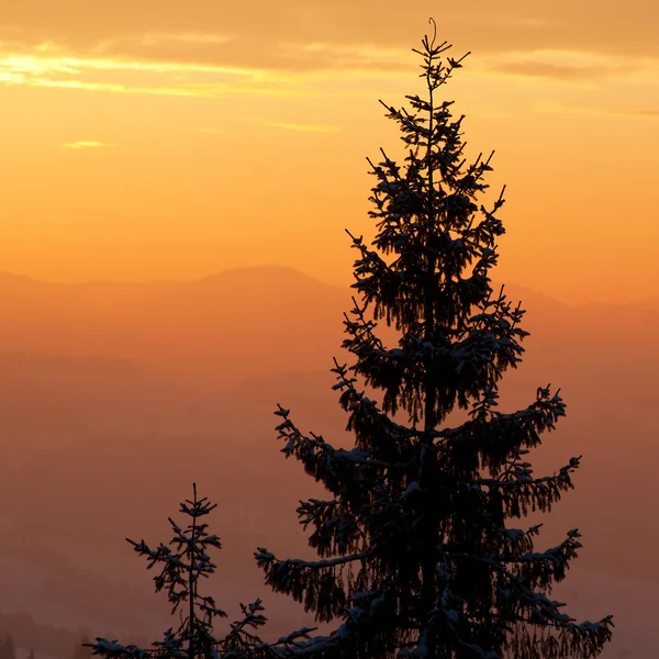 Beau lever de soleil dans les montagnes des Carpates, Ukraine — Photo