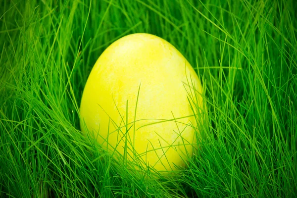 Yellow painted Easter egg in the grass — Stock Photo, Image