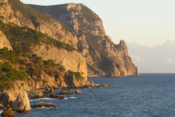 Línea costera con pinos (reserva "Inzhir", Crimea, Ucrania ) —  Fotos de Stock