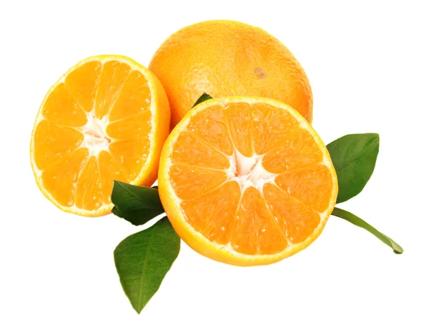Mandarini freschi su sfondo bianco — Foto Stock
