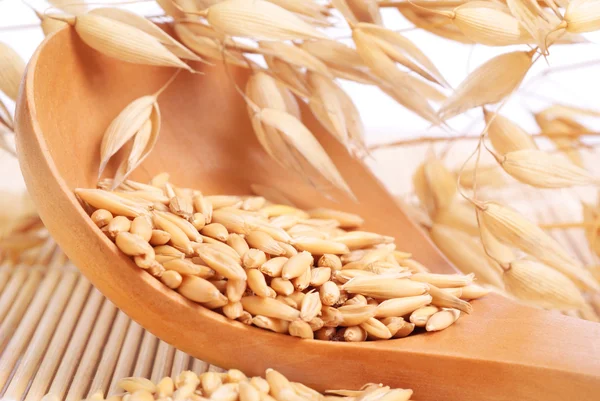 燕麦种子和燕麦的耳朵 — 图库照片