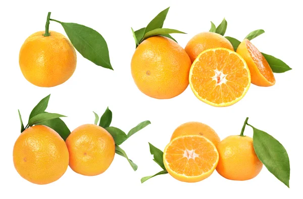 Mandarinas frescas sobre fondo blanco — Foto de Stock