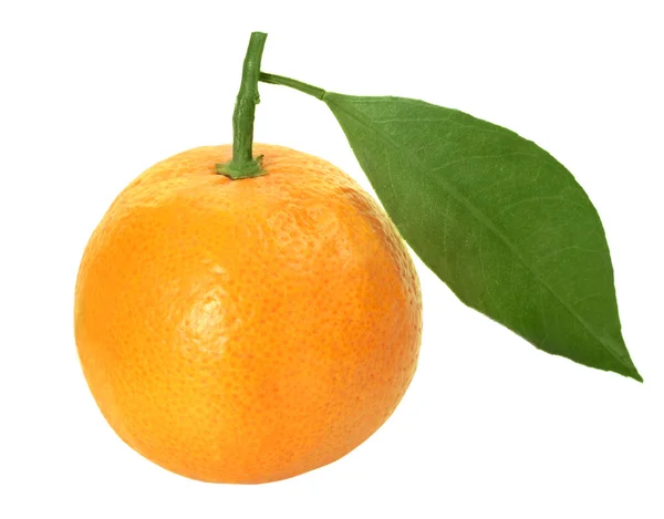 Świeża mandarynka na białym tle — Zdjęcie stockowe
