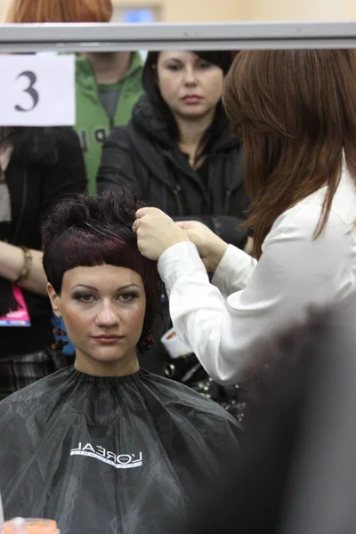 Concurso de peluquería —  Fotos de Stock