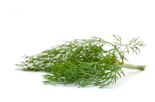 Folha de erva-doce verde isolada sobre fundo branco — Fotografia de Stock