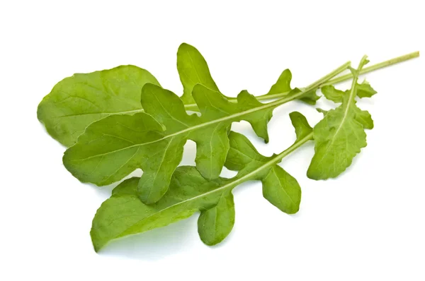 Fresh rucola leaves on white background — Stock Photo, Image
