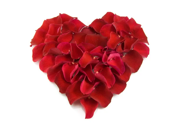 心臓の形にバラの花びら — ストック写真