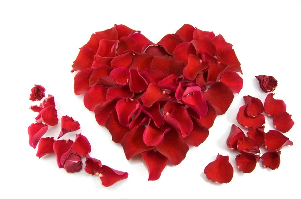 玫瑰花瓣中的一颗心的形状 — 图库照片
