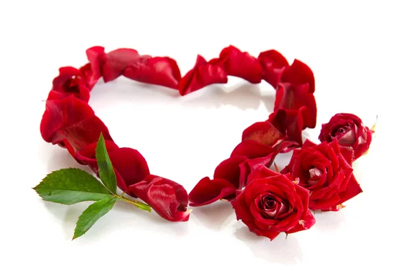 Rosenblad i formen av ett hjärta — Stockfoto