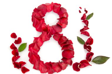 Rose petals in a shape of a eight clipart