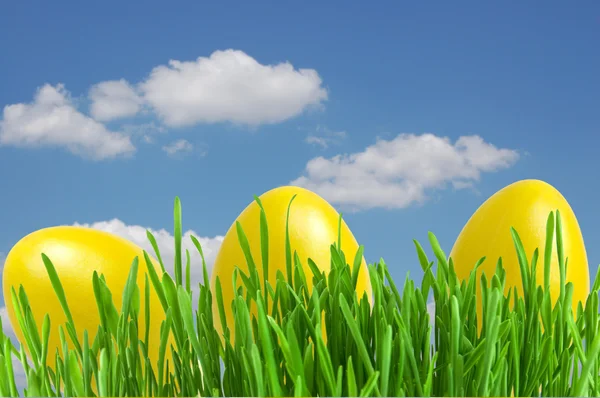 Amarelo ovos de Páscoa na grama verde sob o céu azul — Fotografia de Stock
