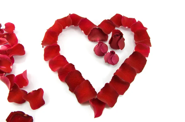 Pétales de rose en forme de cœur — Photo