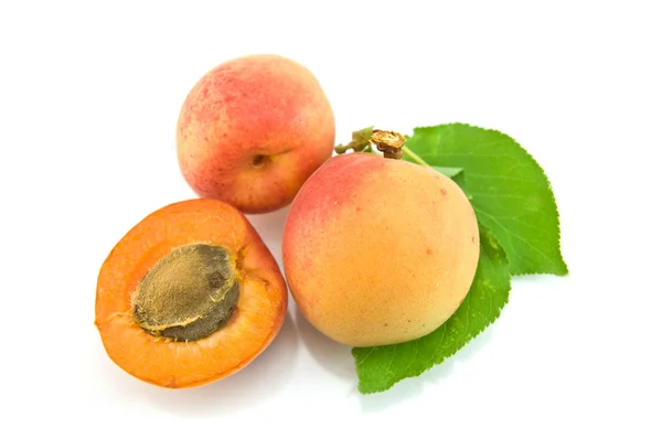 stock image Apricots with leaves on a white background