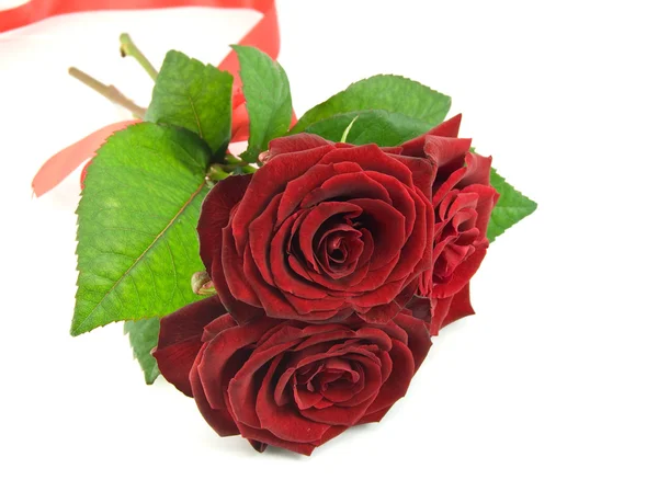 Buquê de rosas vermelhas — Fotografia de Stock