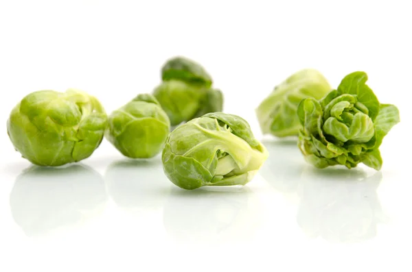 Brussels sprouts cabbage — Stock Photo, Image