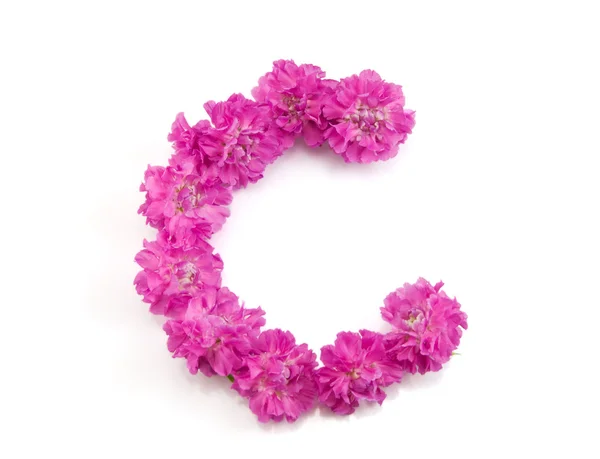 Alphabet of flowers "C" — Stock Photo, Image