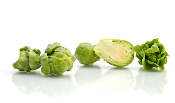 Brussels sprouts cabbage isolated on white — Stock Photo, Image