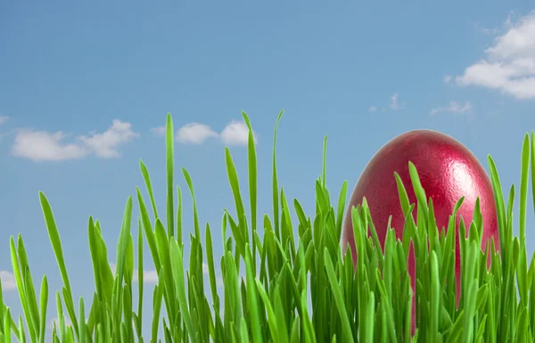Huevos rojos de Pascua en hierba verde bajo el cielo azul —  Fotos de Stock