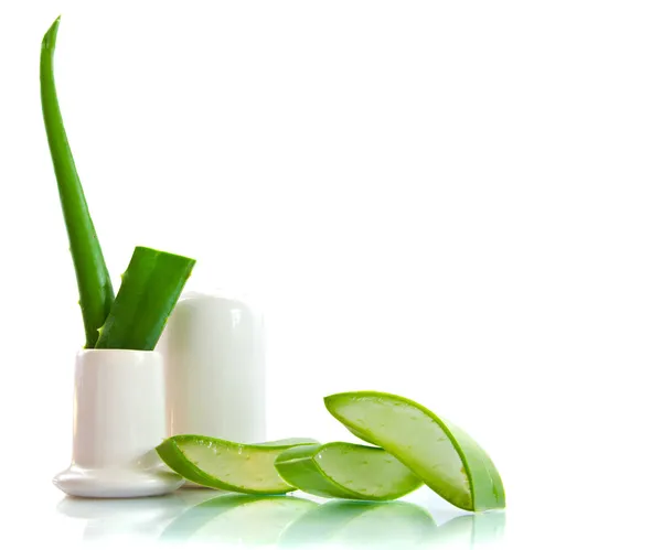 stock image Aloe vera - herbal medicine