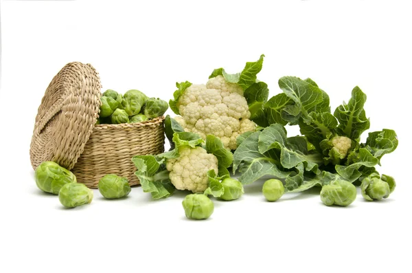 Still life of fresh cabbage on a white background — Stock Photo, Image