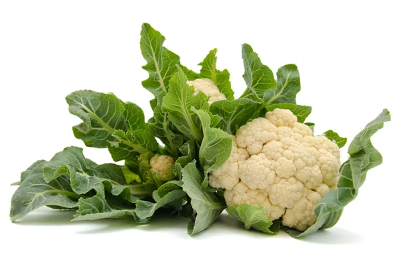Isolated fresh Cauliflower — Stock Photo, Image