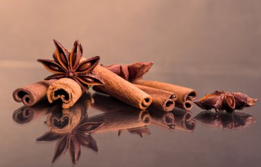 Star anise and cinnamon beer ingredients clipart