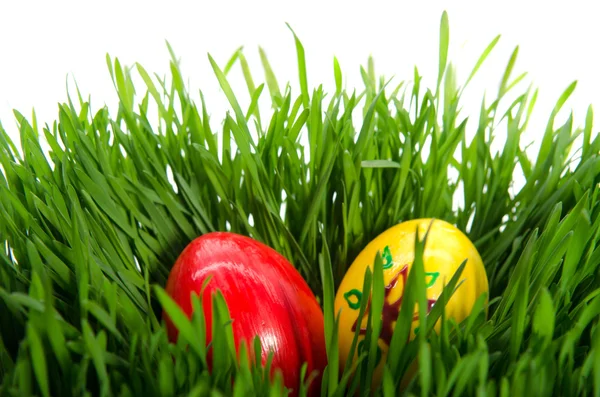 Kırmızı Paskalya yumurta beyaz arka plan ile yeşil çimen — Stok fotoğraf