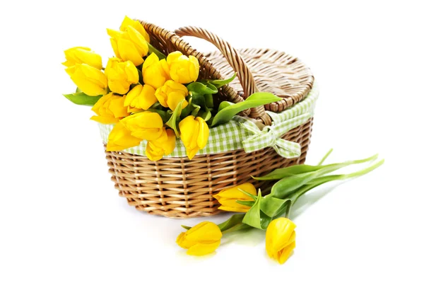 Желтые тюльпаны в корзине — стоковое фото