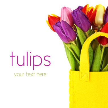 Fresh tulips clipart