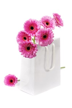 gerbera çiçekleri