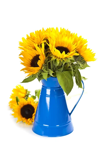 Slunečnice v modrá váza — Stock fotografie