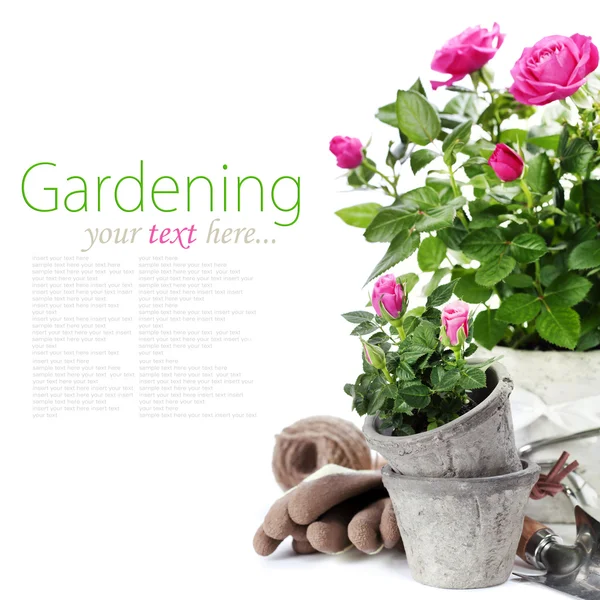 Zahradní nářadí — Stock fotografie