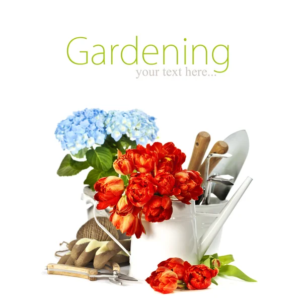 Flores de primavera e ferramentas de jardim — Fotografia de Stock