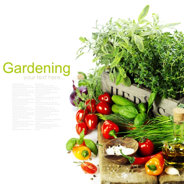 Kräuter in der Box und frisches Gemüse — Stockfoto